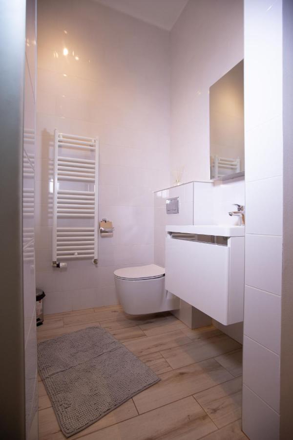 Alessia Apartment In The Old Town Timişoara Exterior foto